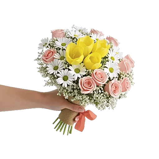 Blossom Harmony Display
