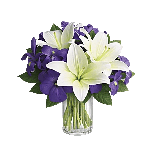 Ivory Blossom Radiance