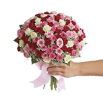 Pink Pastel Roses