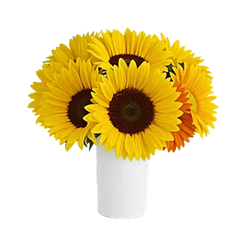 Radiant Bloom Cascade