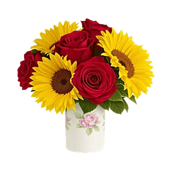 Radiant Rose Symphony