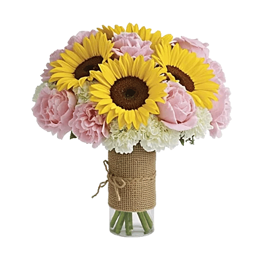 Petal Radiance Bliss