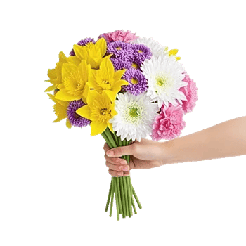 Blossom Harmony Display