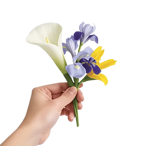 Elegant Calla Lilies