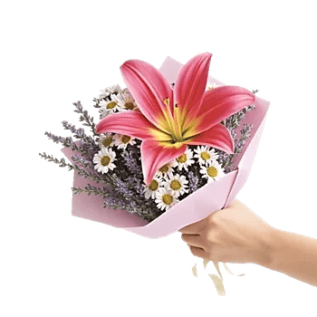 Blossom Harmony Display