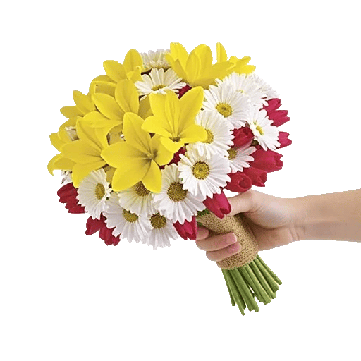 Blossom Harmony Display