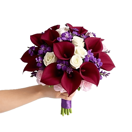 Elegant Calla Lilies