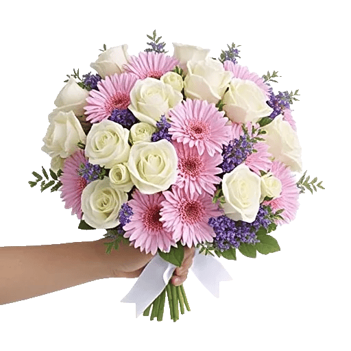Blushing Rose Symphony