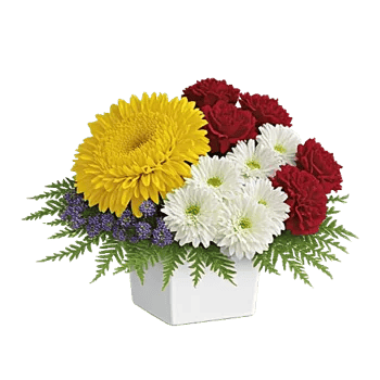 Blossom Harmony Display