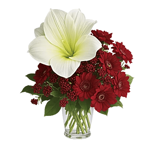 Crimson Blossom Harmony