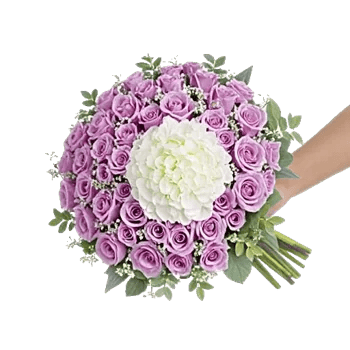 Petal Whisper Symphony