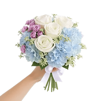 Serene Petal Harmony