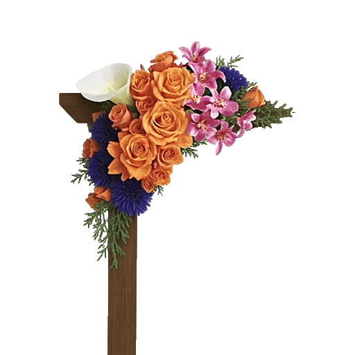 Elegant Calla Lilies
