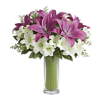 Graceful Lily Display