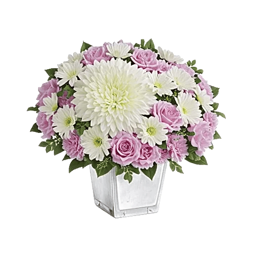 Modern White Orchids