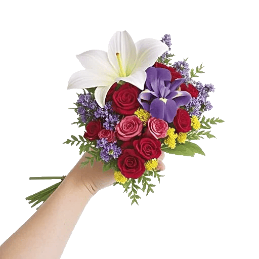 Ivory Blossom Radiance