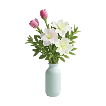 Plum Blossom Radiance