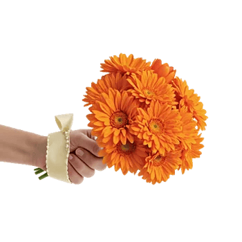 Vibrant Orange Delight