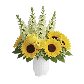 Blossom Harmony Display