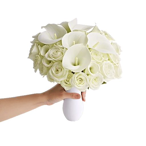 Elegant Calla Lilies