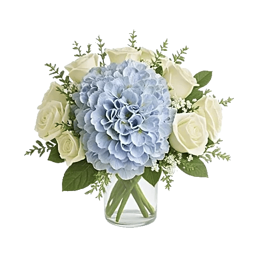 Serene Petal Harmony