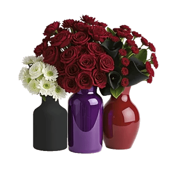 Elegant Calla Lilies