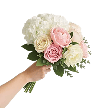 Ivory Blossom Radiance