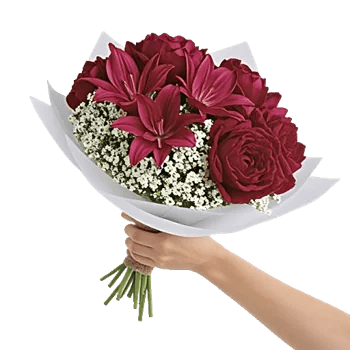 Crimson Rose Elegance