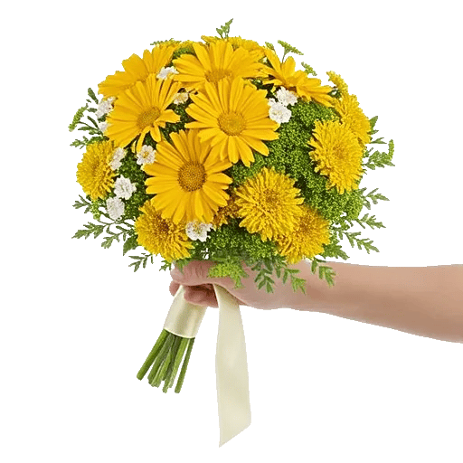 Delicate Petal Cascade