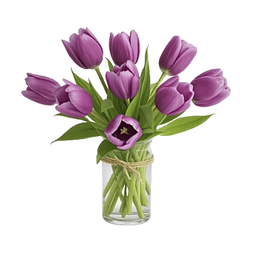 Velvet Tulip Display