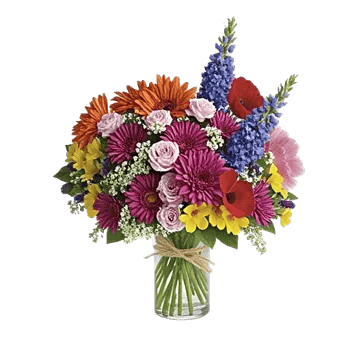 Petal Radiance Bliss