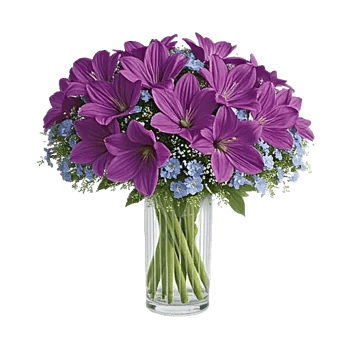 Whispering Petal Garden