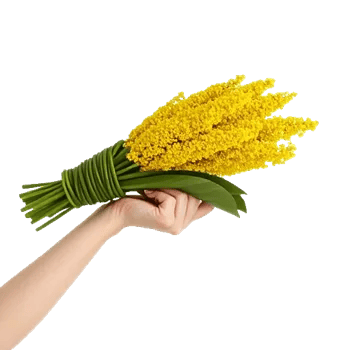 Golden Petal Harmony