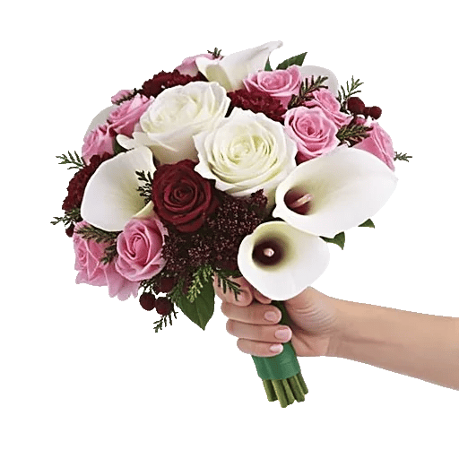 Elegant Calla Lilies