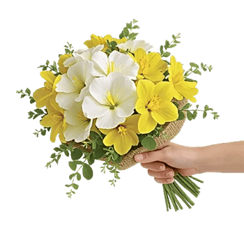 Ivory Garden Grace