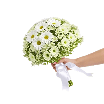 Ivory Garden Grace