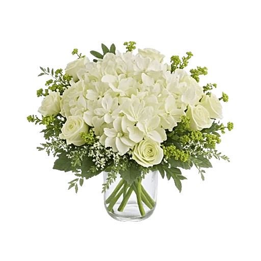 Serene Petal Harmony