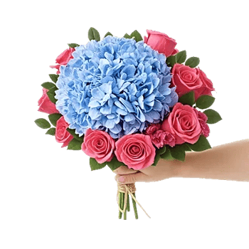 Serene Petal Harmony