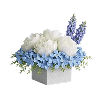 Blooming Serenity Display