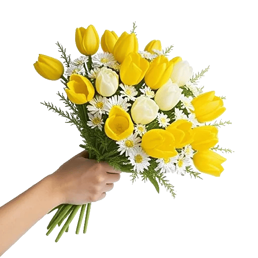 Blossom Harmony Display