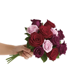 Crimson Rose Elegance