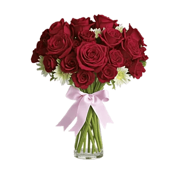 Radiant Rose Symphony