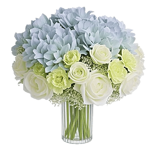 Ivory Blossom Radiance