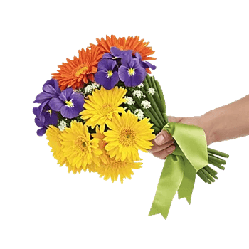 Petal Harmony Bliss