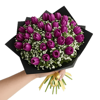 Velvet Tulip Display