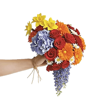 Ivory Blossom Radiance