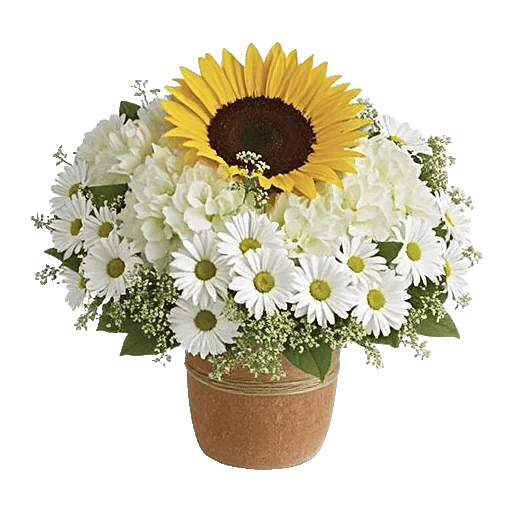 Amber Sunflower Glow