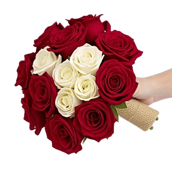 Crimson Rose Elegance