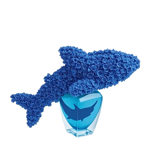 Sapphire Bloom Whisper