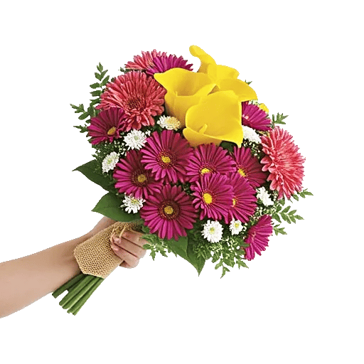 Elegant Calla Lilies